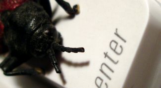 Картинка по теме - как избавиться от вируса окна