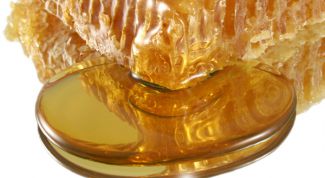 Картинка по теме - как проверить натуральный мед