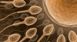 Картинка по теме - как расшифровать спермограмму