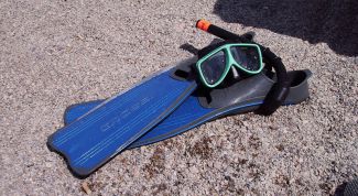 Картинка по теме - как подобрать ласты