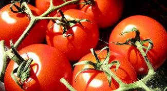 Картинка по теме - как выбрать помидоры