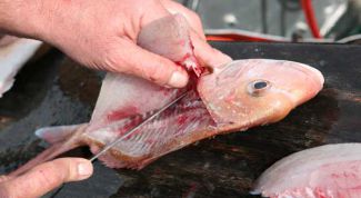 Картинка по теме - как очистить рыбу от костей