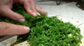 Картинка по теме - как хранить укроп