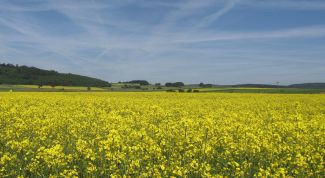 Картинка по теме - как оформить покупку земли