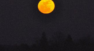 Картинка по теме - как узнать лунные сутки