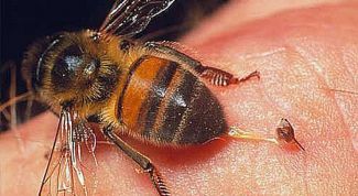 Картинка по теме - как снять опухоль от укуса