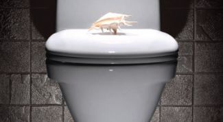 Картинка по теме - как установить гофру для унитаза