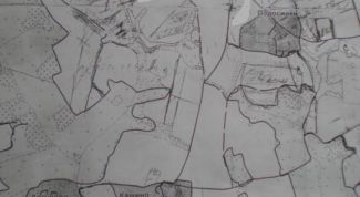 Картинка по теме - как выделить земельный пай