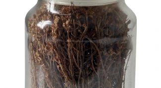 Картинка по теме - как сделать освежитель воздуха