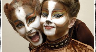 Картинка по теме - как разрисовать лицо под кошку