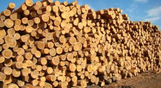 Картинка по теме - как продать лес