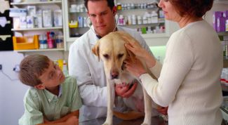 Картинка по теме - как открыть ветаптеку