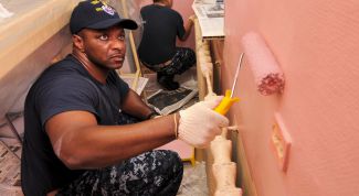 Картинка по теме - как перекрасить обои