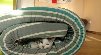 Картинка по теме - как вывести пятна с матраса