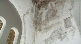 Картинка по теме - как вывести сырость