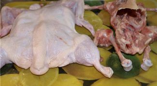 Картинка по теме - как вытащить кости из курицы