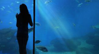 Картинка по теме - как отремонтировать аквариум