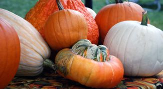 Картинка по теме - как хранить разрезанную тыкву