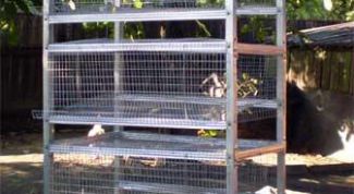 Картинка по теме - как построить клетку для перепелов