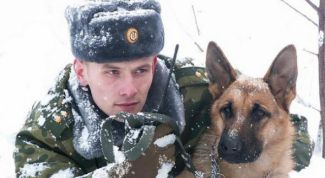 Картинка по теме - как поступить в пограничную службу