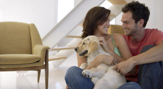 Картинка по теме - как переехать жить к парню