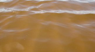 Картинка по теме - как отличить раствор от взвеси