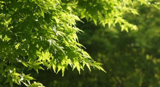 Картинка по теме - как решать задачи по биологии