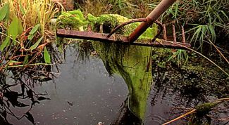 Картинка по теме - как очистить воду в бассейне