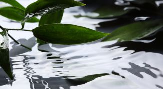 Картинка по теме - как построить пруд на даче