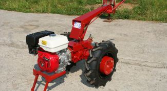 Картинка по теме - как сажать картошку мотоблоком