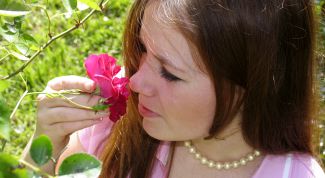 Картинка по теме - как найти свой аромат