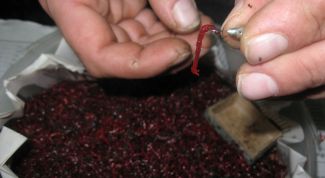 Картинка по теме - как приготовить прикормку для рыб