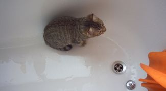 Картинка по теме - как восстановить покрытие ванны