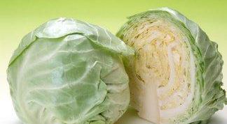 Картинка по теме - как приготовить капусту с фаршем