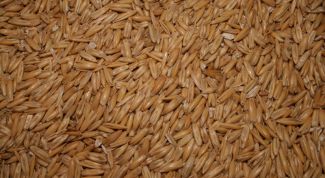 Картинка по теме - как приготовить толокно