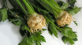 Картинка по теме - как хранить сельдерей