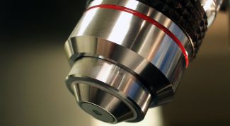 Картинка по теме - как настроить микроскоп