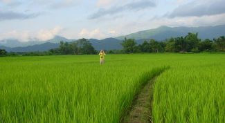 Картинка по теме - как выделить долю из земельного участка