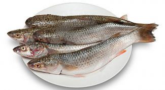 Картинка по теме - как очистить рыбу от чешуи