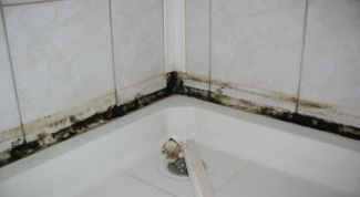Картинка по теме - как убрать плесень из ванны