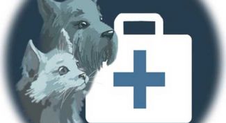 Картинка по теме - как открыть ветаптеку