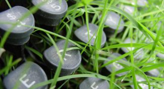 Картинка по теме - как восстановить файл word 