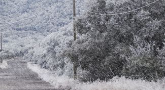 Картинка по теме - как сделать снегопад в photoshop