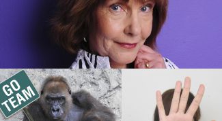 Картинка по теме - как склеить три фотографии