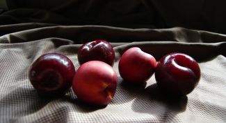 Картинка по теме - как вялить чернослив