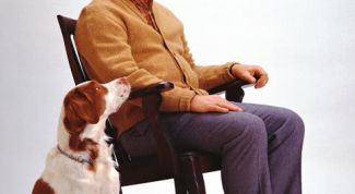 Картинка по теме - как уволить работающего пенсионера