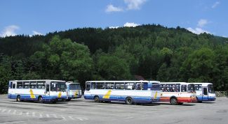 Картинка по теме - как получить транспортную карту