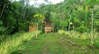 Картинка по теме - как выкупить арендованную землю