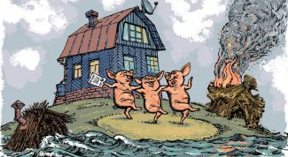 Картинка по теме - как создать свою страховую компанию