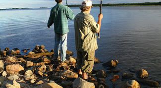 Картинка по теме - как ловить живца зимой